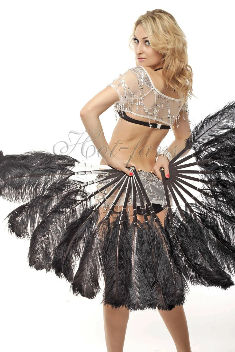 A pair Black Single layer Feather fan 24"x 41"