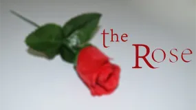 The Rose by Sandro Loporcaro - VIDEO DOWNLOAD OR STREAM