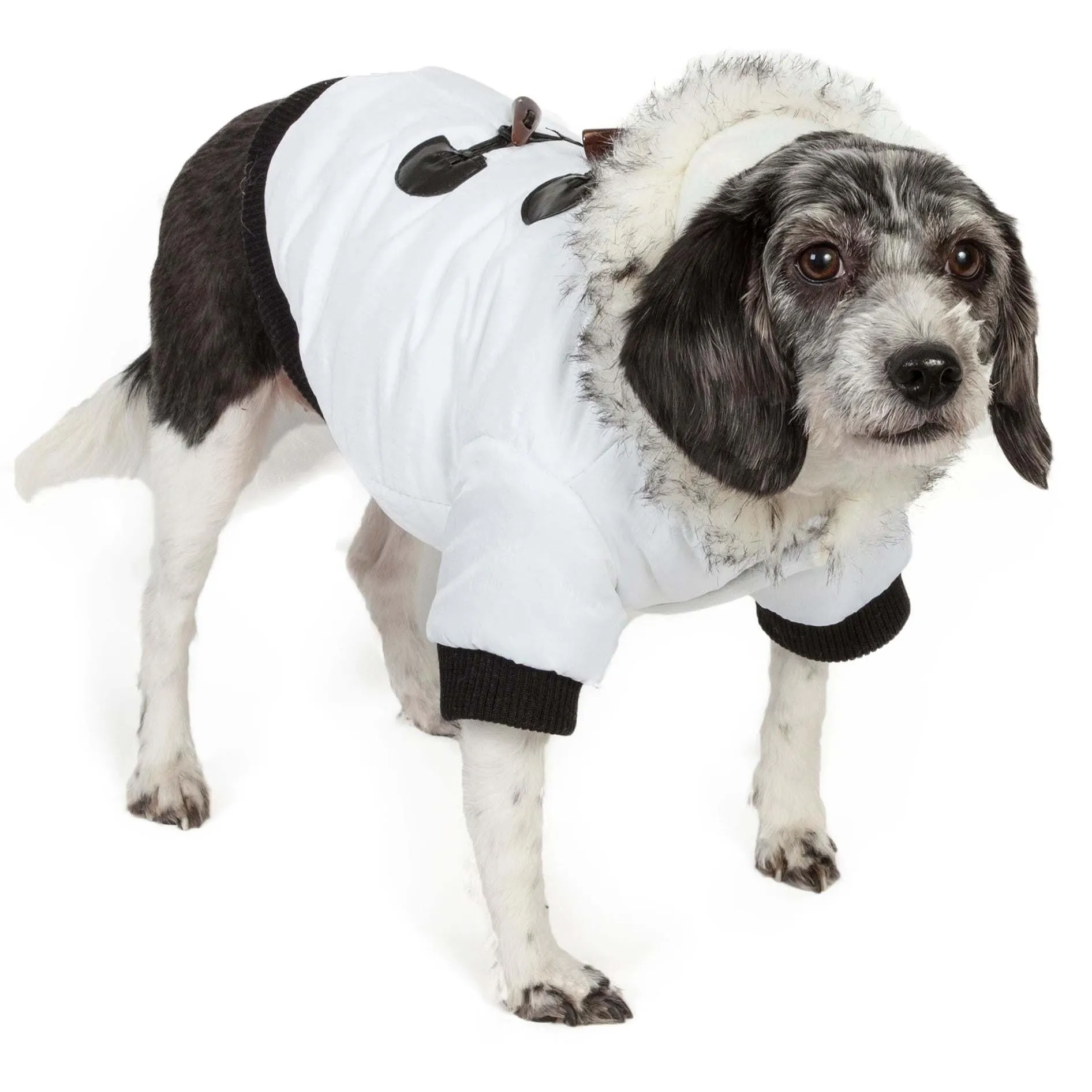 Winter pet parka coat with Thinsulate insulation and Velcro closure. Fashion